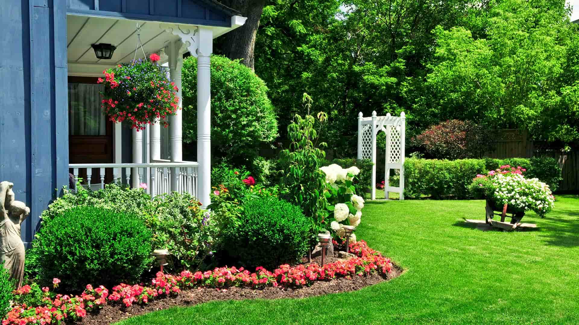 Oasis Landscape Design & Construction Banner