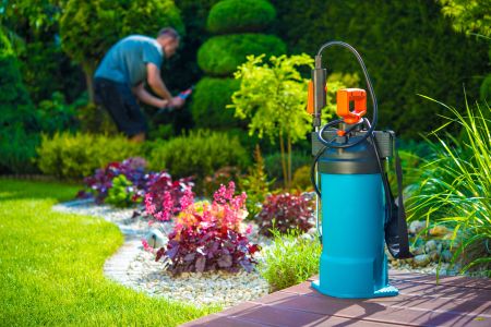 Ramsey landscaping