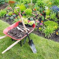 Spring Cleanup in Midland Park, NJ thumbnail