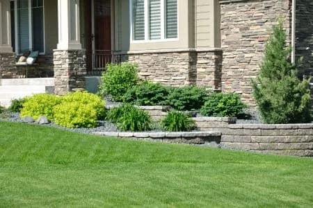 Stone Veneers